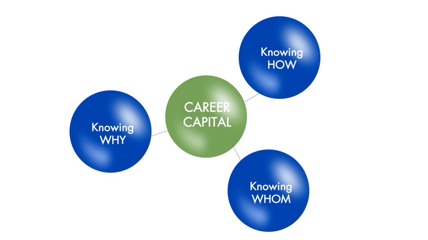 L1.b.career+capital+competencies+model